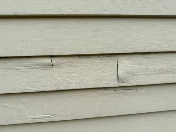 Best Composite Siding  in Archer, FL